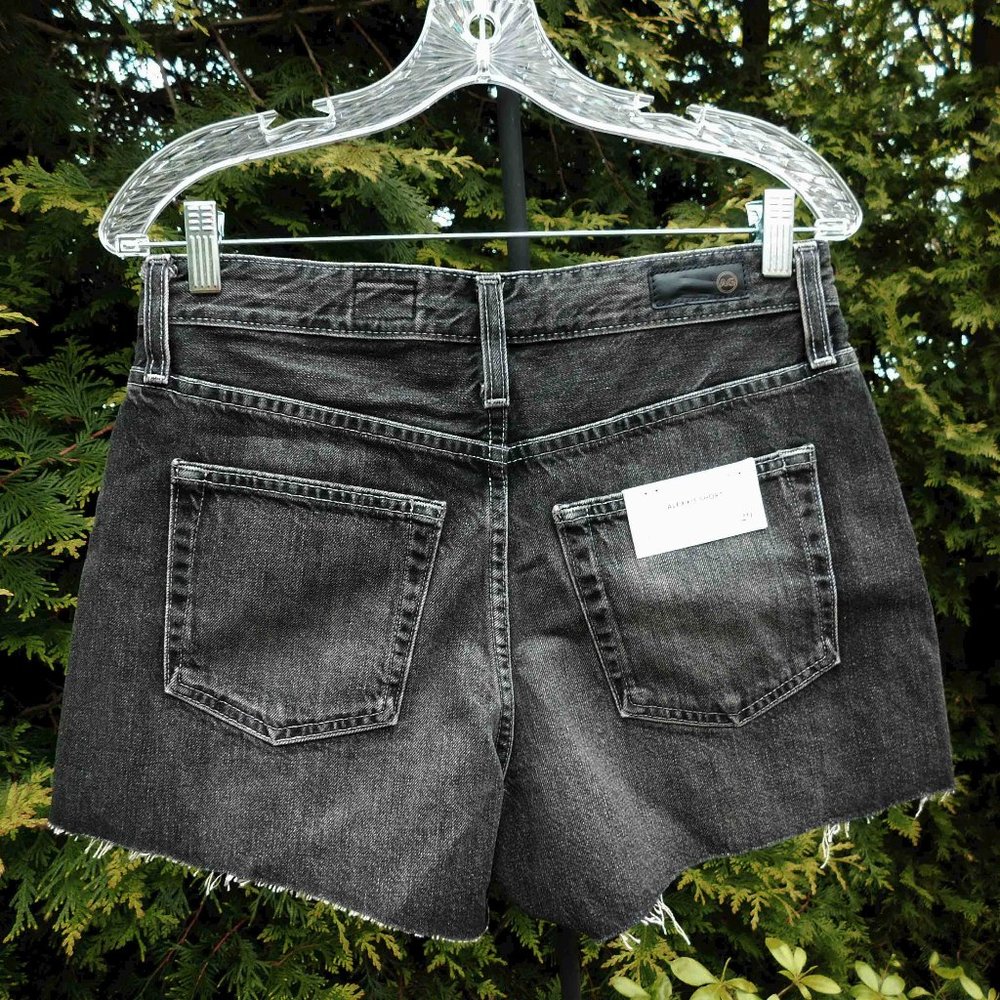 AG Adriano Goldschmied High Rise Wedgie Cutoff Shorts Sz-29 NWT